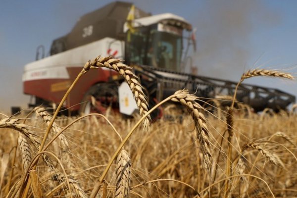 <p>Buenas noticias para Chile: los precios mundiales de los alimentos bajan en mayo tras el descenso de cereales y el azúcar</p>