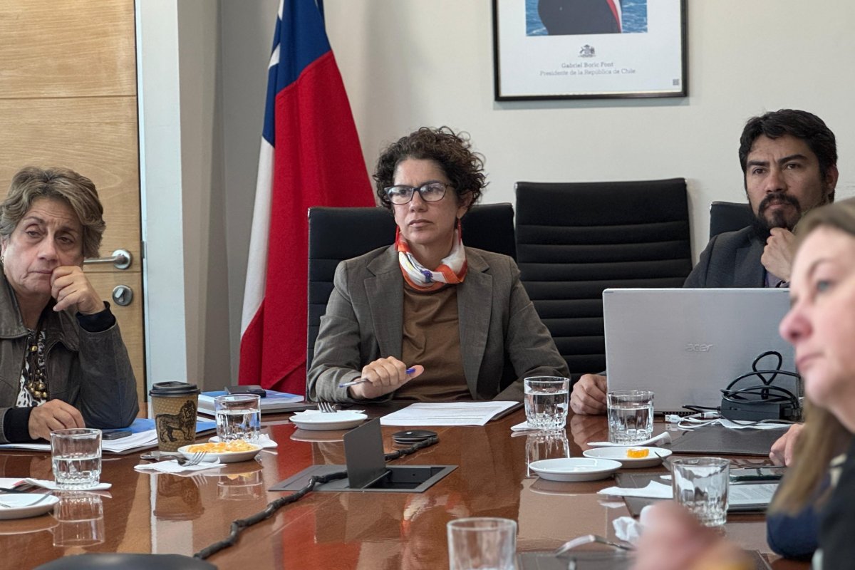 <p>Maisa Rojas, ministra del Medio Ambiente (al centro).</p>