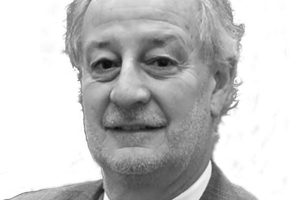 <p>Empleo: el pato de la boda</p>