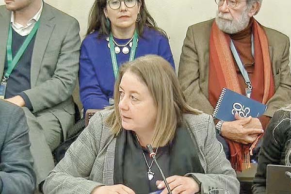 <p>Heidi Berner, subsecretaria de Hacienda.</p>