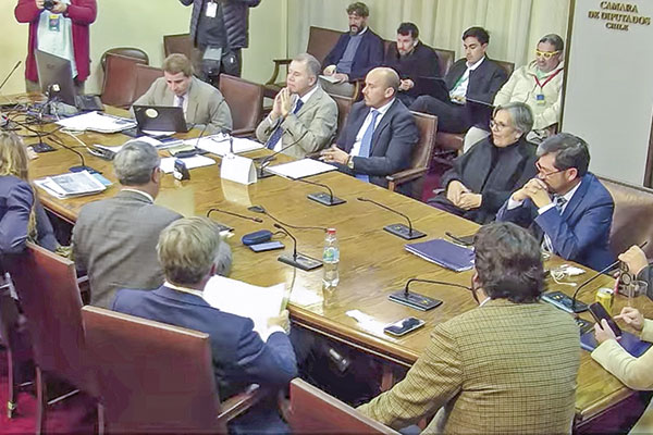 <p>Este miércoles la comisión de Seguridad Pública de la Cámara aprobó la idea de legislar de la norma.</p>