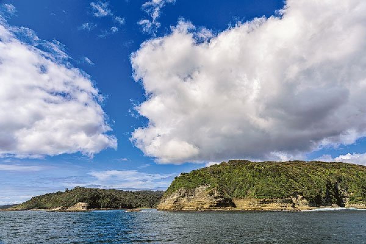 <p>ONG vinculada a Leonardo DiCaprio habría comprado Isla Guafo en Chiloé</p>