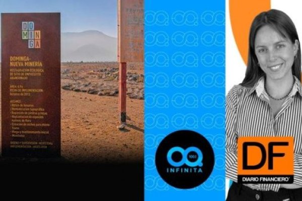 <p>🎙️ DF en Infinita | Patricia Marchetti explica el revés que recibió el Gobierno en el TC por proyecto Dominga</p>