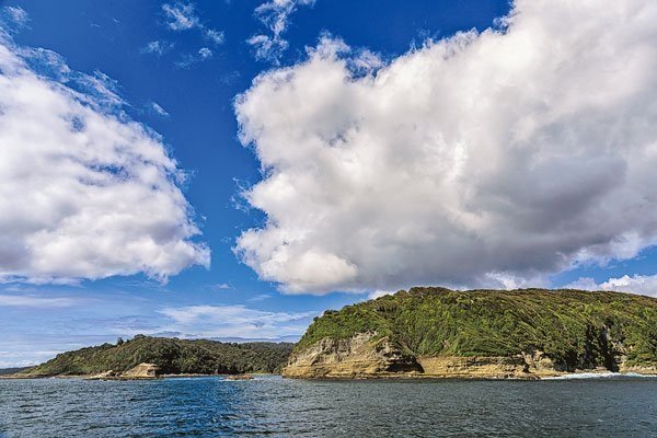 ONG vinculada a Leonardo DiCaprio habría comprado Isla Guafo en Chiloé