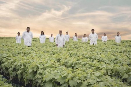 <p>Vivero peruano Los Viñedos firma acuerdo clave con biotecnológica chilena y acelera su plan de diversificación</p>