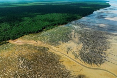 <p>Petrobras y Chevron se adjudican bloques en subasta de Foz do Amazonas, en Brasil</p>