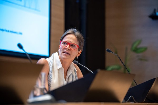 <p>Jeannette von Wolfersdorff renuncia sorpresivamente al Consejo Fiscal Autónomo</p>