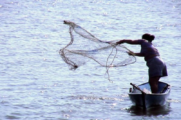 <p>Senado despacha fraccionamiento pesquero a Ley y la industria reafirma que vendrán acciones legales</p>