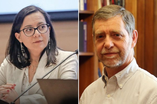 <p>Senado aprueba a Paula Benavides como nueva consejera del CFA y Hacienda propone a Joaquín Vial en el cupo vacante</p>