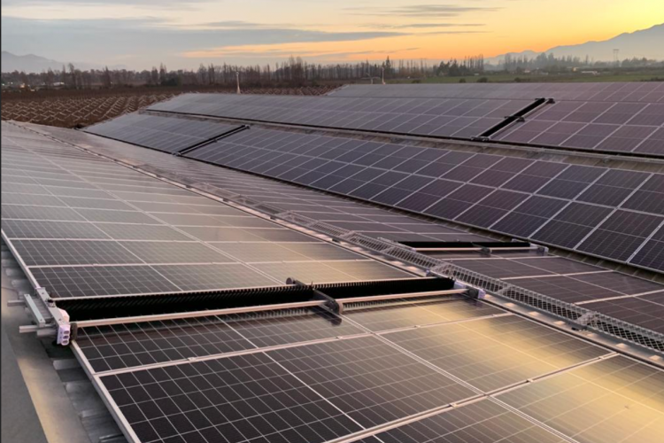 <p>SunRoof vende participación mayoritaria a fondo estadounidense Exagon Impact Capital</p>