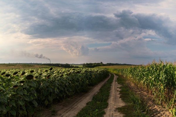 Crisis en Medio Oriente dispara alerta por el precio de un insumo clave para el agro argentino