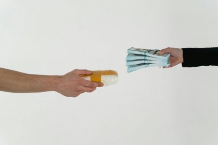 <p>Producción de cocaína creció un tercio en el mundo por alza de cultivos en Colombia</p>