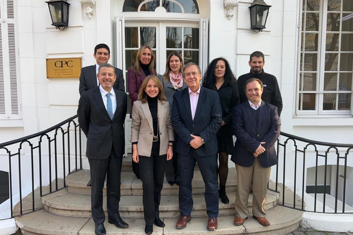 <p>Eduardo Sepúlveda, Susana Jiménez, Juan Jaime Díaz, Sebastián Zárate. Arriba: Maximiliano Valdés, Carolina Agüero, Pamela Castro, Claudia Chateau y José Luis Santa María.</p>