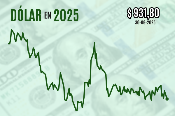 <p>Dólar cierra con caída de $ 10 tras primarias oficialistas y en medio del declive internacional de la divisa</p>