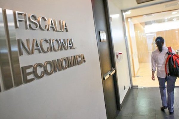 <p>FNE pide multas de casi US$ 80 millones a productoras de alimentos para salmones por colusión</p>