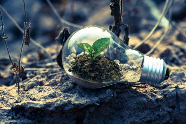 Argentina, Chile y Ecuador lideran el ranking de inversión verde en América Latina