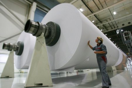 Acreedor pide la quiebra de la mayor papelera de Argentina por una deuda que supera los US$ 41.000