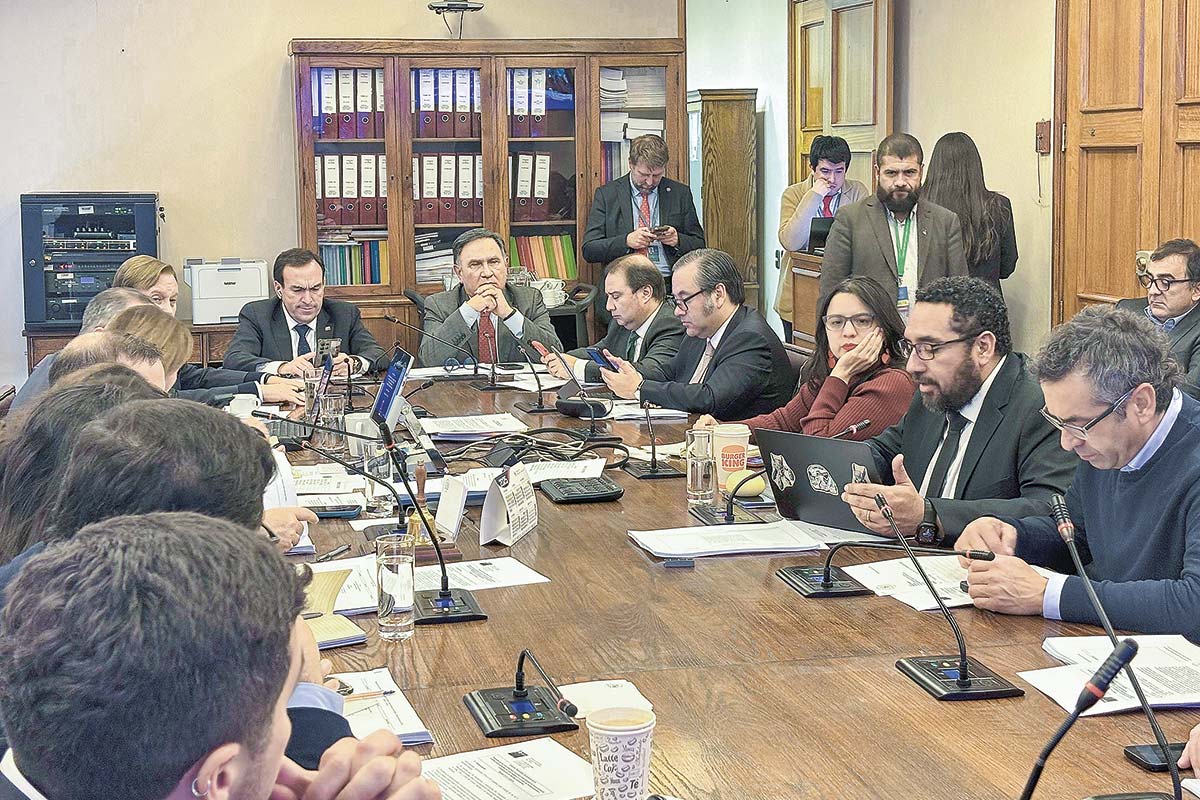 <p>Javiera Martínez y Nicolás Cataldo expusieron en la comisión. Foto: Camara de Diputados</p>