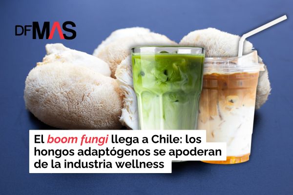 <p>Hablemos de | El boom fungi llega a Chile: los hongos adaptógenos se apoderan de la industria wellness</p>