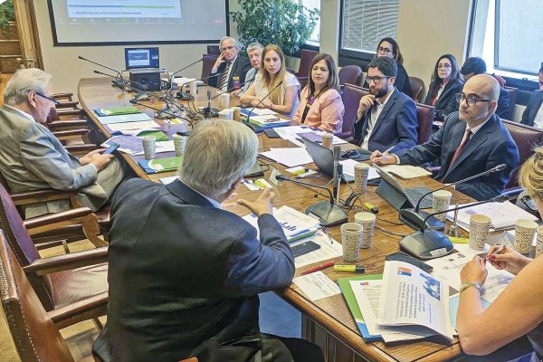 <p>El 8 de enero de 2024 Rivillo participó en una comisión en el Senado.</p>