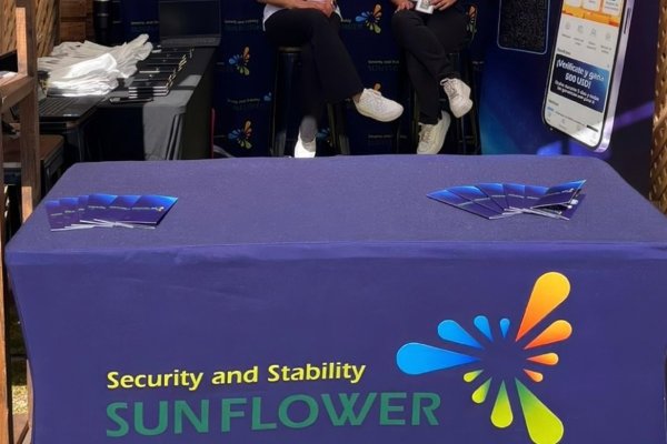 <p>Las advertencias ponzi, un grupo VIP y lo que desencadenó la caída de Sunflower Technologies</p>