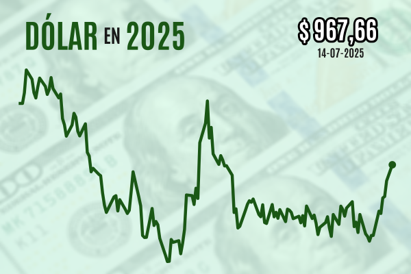 <p>Dólar cierra próximo a $ 970 en máximos de tres meses ante incertidumbre comercial desatada por Trump</p>