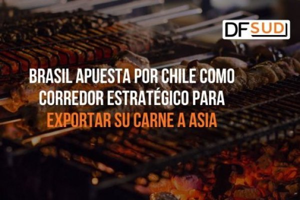 <p>Te lo explico en DF SUD | Brasil apuesta por Chile como corredor estratégico para exportar su carne a Asia</p>