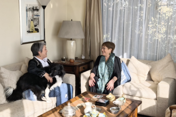 <p>Ahora en DF | Así fue la reunión entre la exPresidenta Bachelet y Jeannette Jara</p>