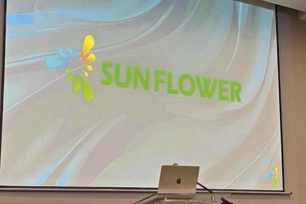 <p>Presentan la primera querella contra quien fuera el gerente general de Sunflower Technologies</p>