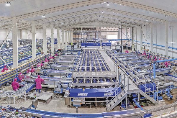 <p>En medio de denuncias por estafa y querellas de firmas chinas, tribunal decreta liquidación forzosa de exportadora Olivar Export</p>