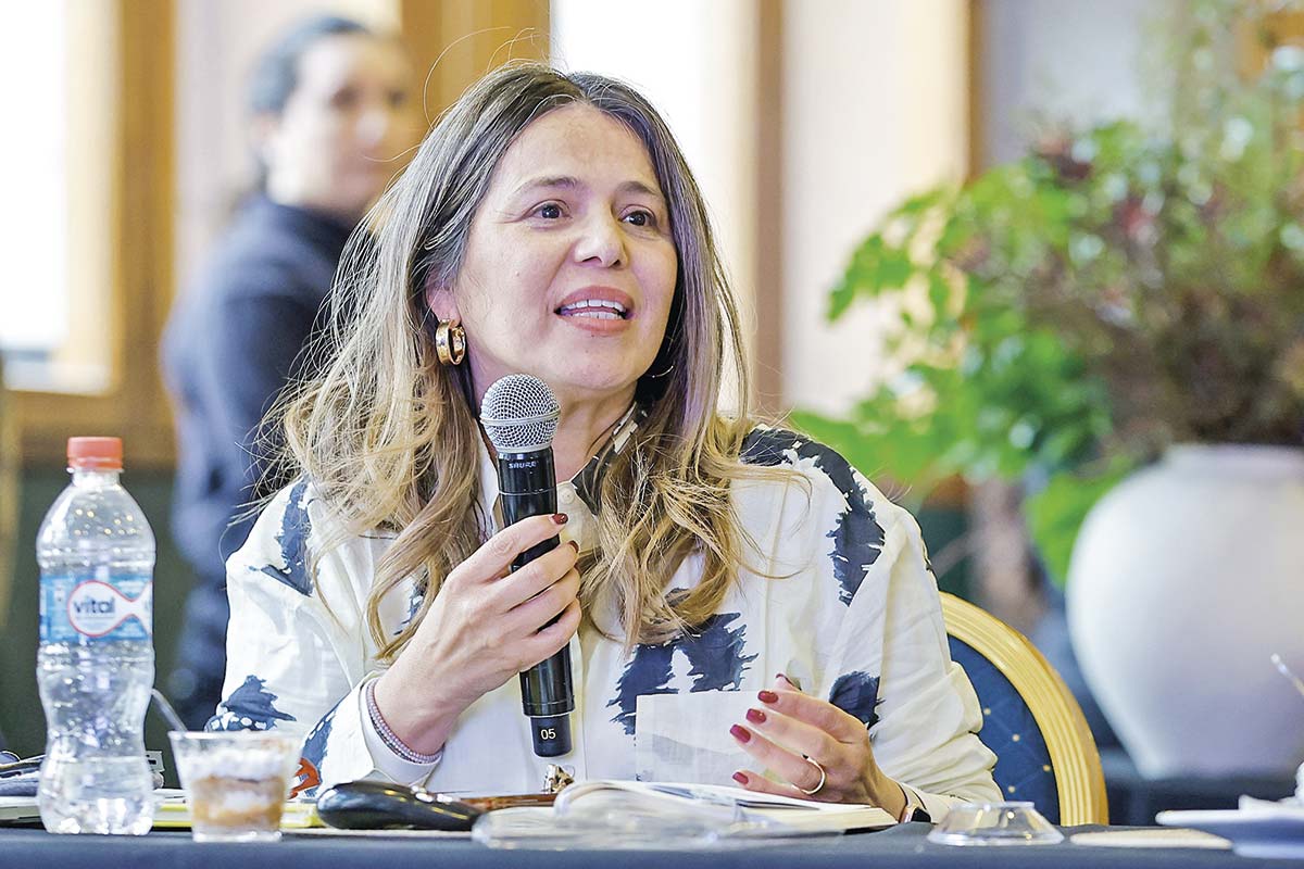 <p>Solange Arredondo, gerenta de Se Santiago.</p>