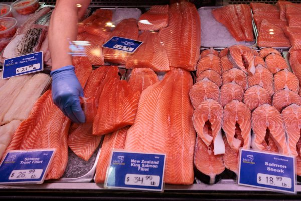 <p>Cermaq compra activos de Grieg Seafood en Noruega y Canadá por US$ 1.000 millones para crear segundo mayor productor mundial de salmones</p>