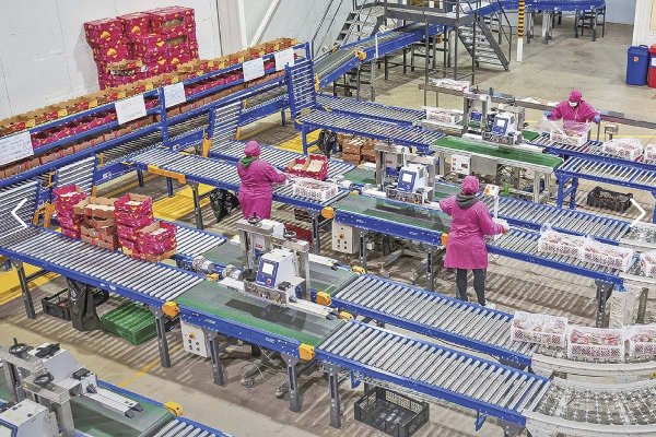 <p>La dupla agrícola que adquirió los bienes de la quebrada Olivar Export por $ 7.800 millones</p>