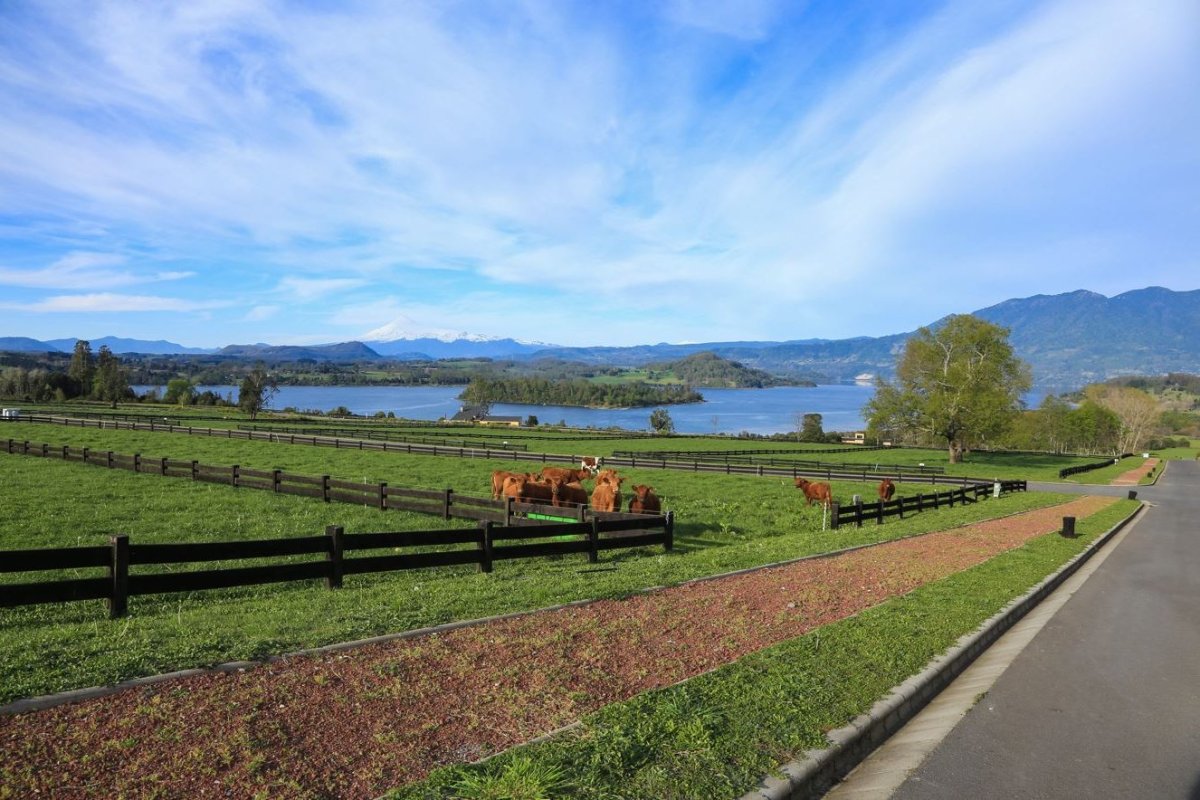 <p>El revival del principal (y más polémico) proyecto inmobiliario en Panguipulli</p>