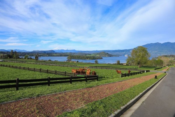 <p>El revival del principal (y más polémico) proyecto inmobiliario en Panguipulli</p>