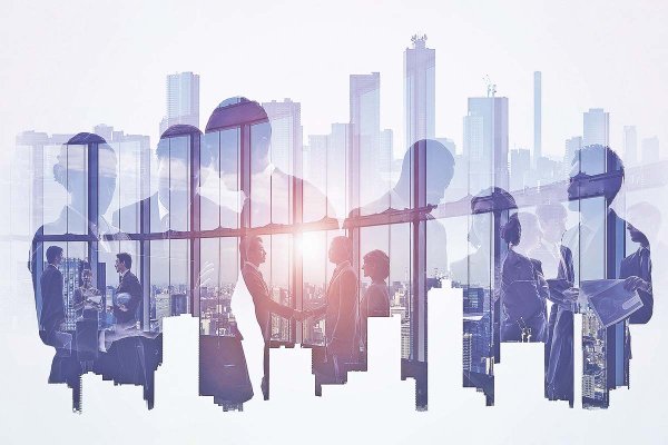 <p>CEO de empresas IPSA llevan menos de 10 años en el cargo y predominan ingenieros</p>