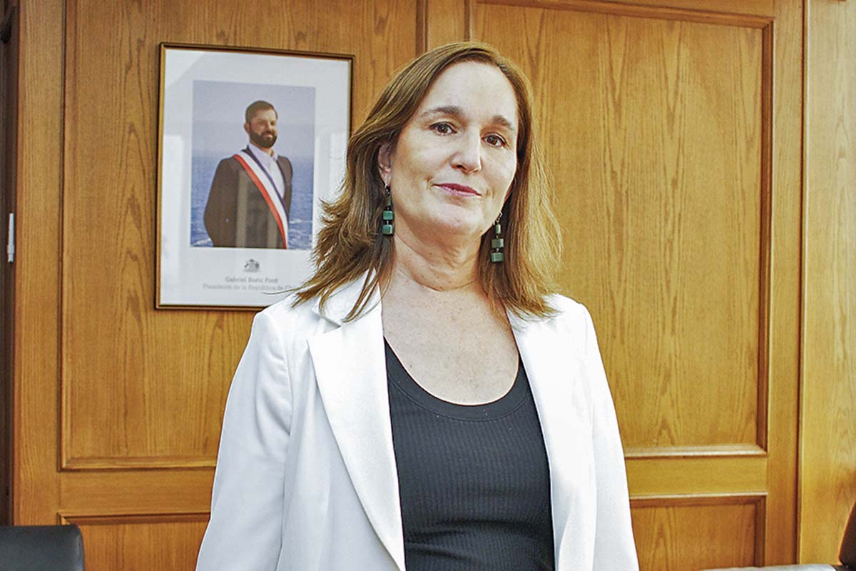 <p>Valentina Durán, directora ejecutiva del SEA. Foto: Jonathan Duran</p>