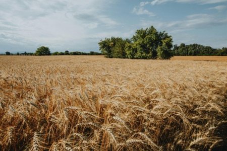 El fundador de la cerealera brasileña Agribrasil vende su control a firma propiedad del fondo soberano de Omán