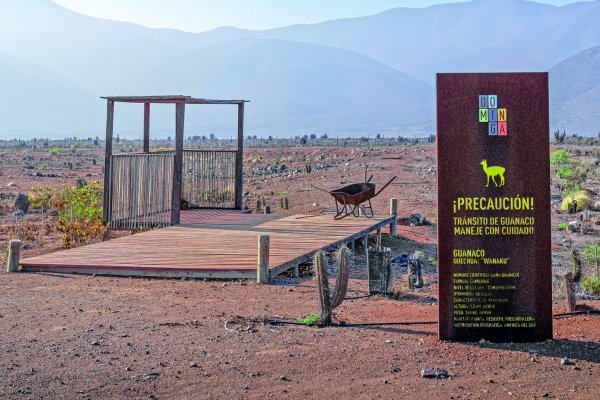 <p>Corte de Apelaciones rechaza recusaciones del Gobierno y organizaciones contra ministro Jean Pierre Matus en caso Dominga</p>