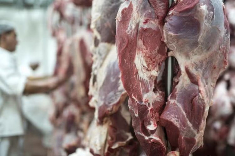 <p>Brasil redirigió sus exportaciones de carne tras el anuncio de aranceles de EEUU</p>