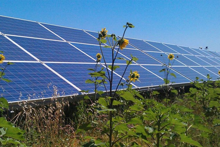 <p>Utilidad de Enel Américas cae 81% en el primer semestre afectada por base de comparación y enajenaciones</p>