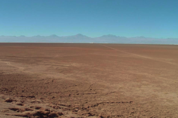 <p>Coeva de Antofagasta rechaza proyecto de potasio NX del grupo Errázuriz y titular acusa evaluación "sesgada"</p>