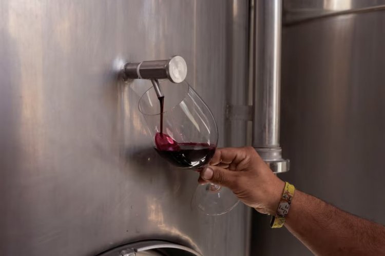 <p>Brasil se consolida como el principal destino del vino chileno en un primer semestre de alzas leves para las exportaciones</p>