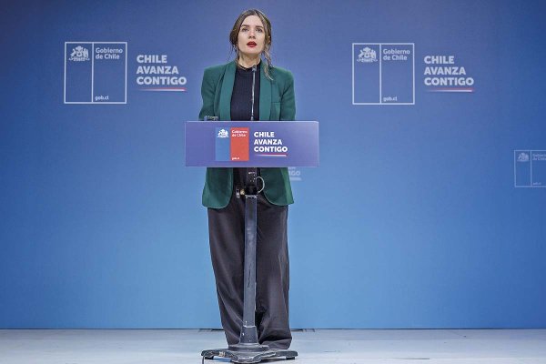 <p>Ministra Vallejo al dar la vocería hoy.</p>