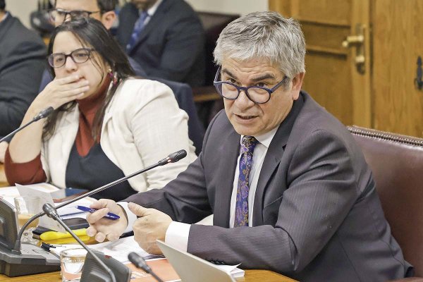<p>La directora de Presupuestos, Javiera Martínez, y el ministro de Hacienda, Mario Marcel. Foto: Aton</p>