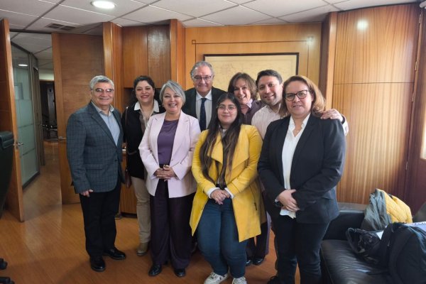 <p>Los nombres que propuso la DC para la campaña de Jara: Roberto Zahler aportará, pero sin integrarse al comando</p>