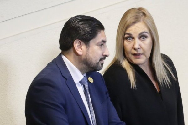 <p>Los diputados Ruben Oyarzo y Pamela Jiles en septiembre pasado. Foto: Aton Chile</p>