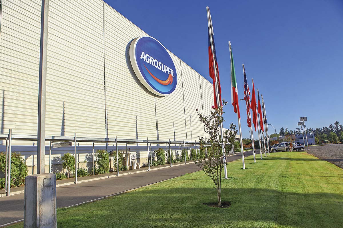 <p>Utilidades de Agrosuper crecen 170% y empresa alerta por impacto de aranceles en mercado del salmón</p>