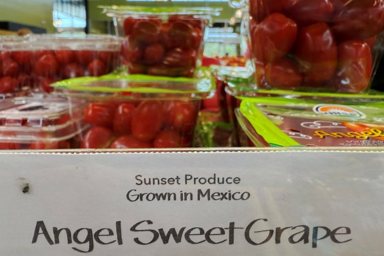 <p>El grandioso plan de Trump para salvar los tomates de Florida: que pague México</p>