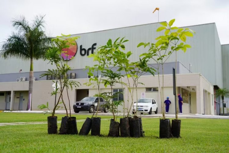 <p>Accionistas de las brasileñas BRF y Marfrig aprobaron la fusión de las empresas</p>